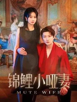 锦鲤小哑妻：穿越古代，她用善良点亮爱情
