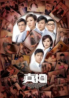 真相粤语 海报