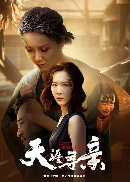 天涯寻亲 海报