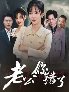 老公你错了 海报